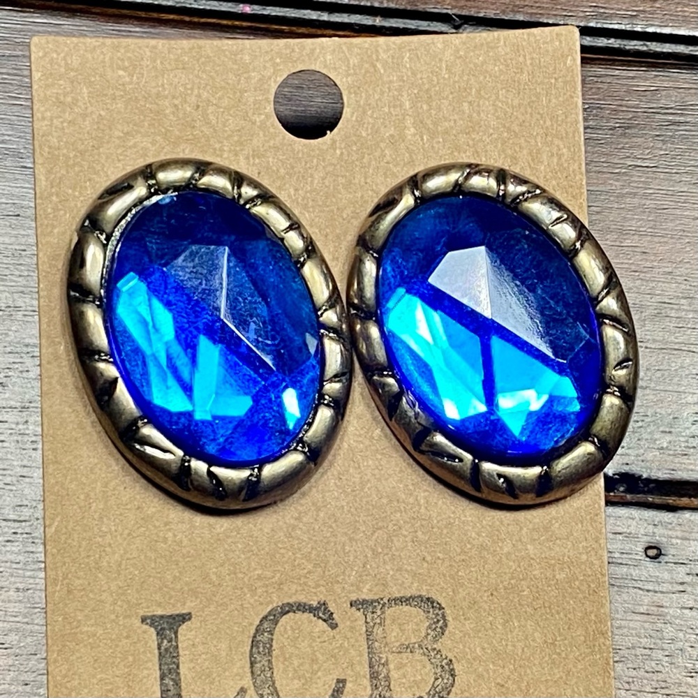 Vintage Silver and Blue Geometric Oval Large Statement Button Earrings